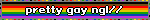 rainbow pride flag blinkie with 'pretty gay ngl//'